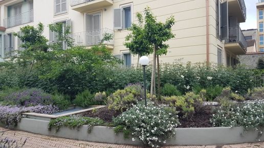 Apartment - garden flowerbeds