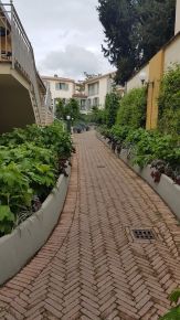 Apartment - garden walkway